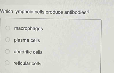 Which lymphoid cells produce antibodies?
macrophages
plasma cells
dendritic cells
reticular cells