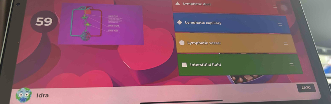 Lymphatic duct 

Lymphatic capillary = 
LE HPH TEUNE 
LYHPH NODE 
Lymphatic vessel 
Interstitial fluid 
=
6030
Idra