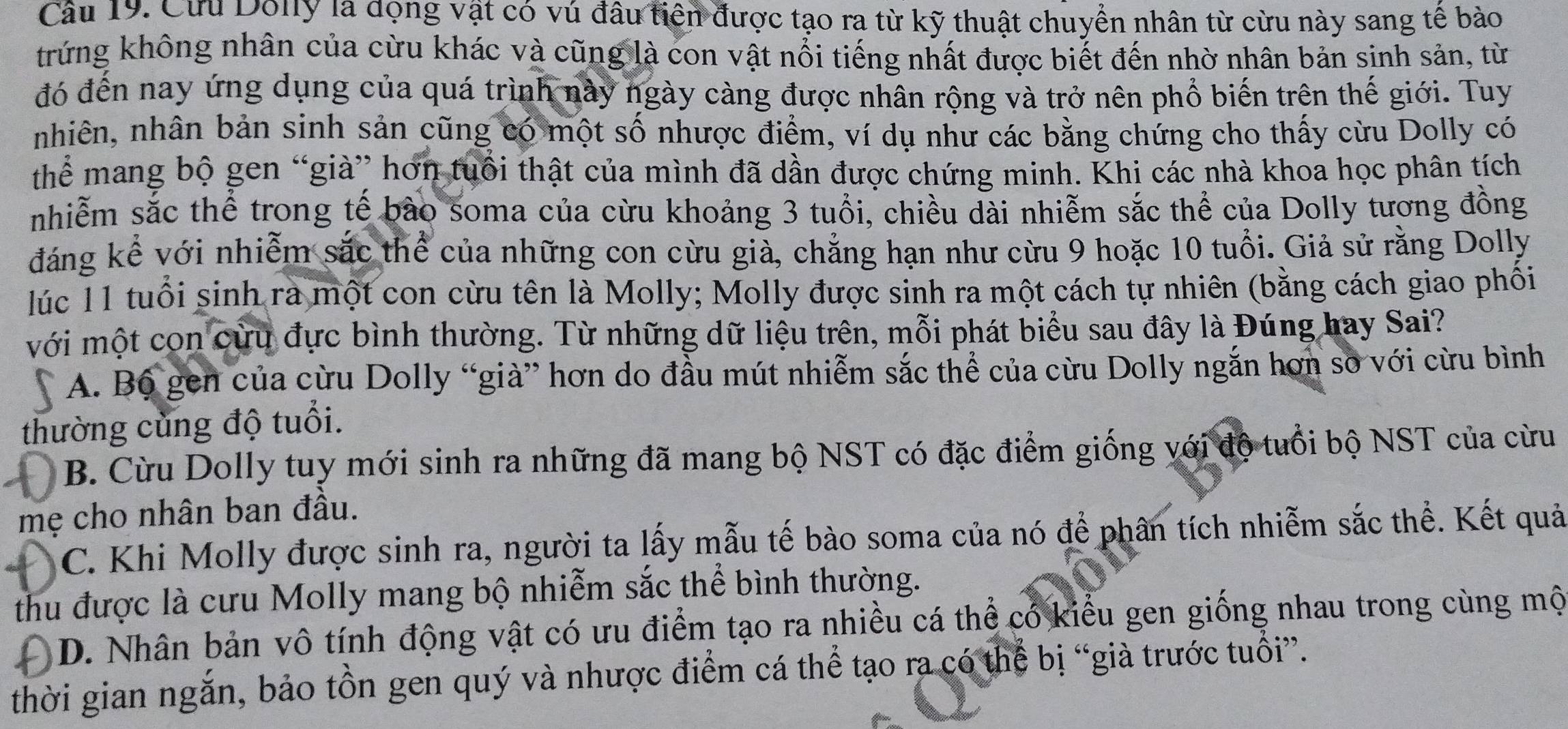 Cừu Dôlly là động vật có vú đầu tiên được tạo ra từ kỹ thuật chuyển nhân từ cừu này sang tế bảo
trứng không nhân của cừu khác và cũng là con vật nổi tiếng nhất được biết đến nhờ nhân bản sinh sản, từ
đó đến nay ứng dụng của quá trình này ngày càng được nhân rộng và trở nên phổ biến trên thế giới. Tuy
nhiên, nhân bản sinh sản cũng có một số nhược điểm, ví dụ như các bằng chứng cho thấy cừu Dolly có
thể mang bộ gen “già” hơn tuổi thật của mình đã dần được chứng minh. Khi các nhà khoa học phân tích
nhiễm sắc thể trong tế bào soma của cừu khoảng 3 tuổi, chiều dài nhiễm sắc thể của Dolly tương đồng
đáng kể với nhiễm sắc thể của những con cừu già, chẳng hạn như cừu 9 hoặc 10 tuổi. Giả sử rằng Dolly
lúc 11 tuổi sinh rà một con cừu tên là Molly; Molly được sinh ra một cách tự nhiên (bằng cách giao phối
với một con cừu đực bình thường. Từ những dữ liệu trên, mỗi phát biểu sau đây là Đúng hay Sai?
A. Bộ gen của cừu Dolly “già” hơn do đầu mút nhiễm sắc thể của cừu Dolly ngắn hơn so với cừu bình
thường cùng độ tuổi.
B. Cừu Dolly tuy mới sinh ra những đã mang bộ NST có đặc điểm giống với độ tuổi bộ NST của cừu
mẹ cho nhân ban đầu.
C. Khi Molly được sinh ra, người ta lấy mẫu tế bào soma của nó để phân tích nhiễm sắc thể. Kết quả
thu được là cưu Molly mang bộ nhiễm sắc thể bình thường.
D. Nhân bản vô tính động vật có ưu điểm tạo ra nhiều cá thể có kiểu gen giống nhau trong cùng mộ
thời gian ngắn, bảo tồn gen quý và nhược điểm cá thể tạo ra có thể bị “già trước tuổi”.