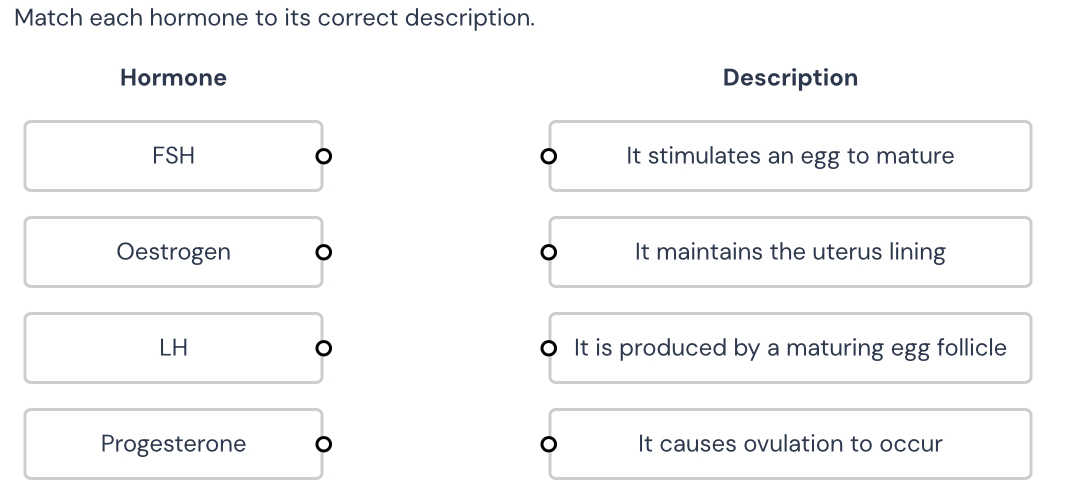 Match each hormone to its correct description.
Hormone Description
FSH 。 It stimulates an egg to mature
Oestrogen 。 It maintains the uterus lining
LH It is produced by a maturing egg follicle
Progesterone 。 It causes ovulation to occur