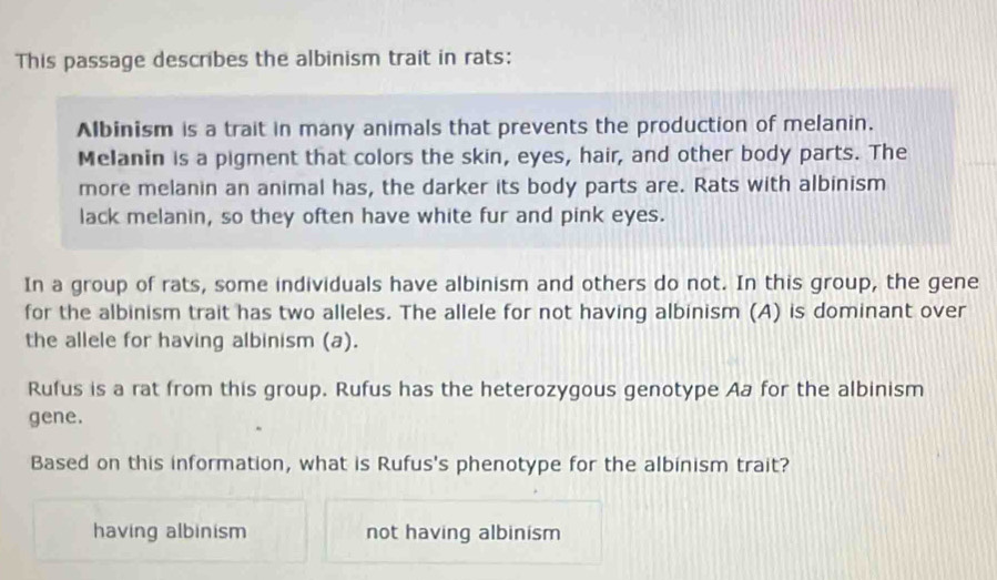 This passage describes the albinism trait in rats:
Albinism is a trait in many animals that prevents the production of melanin.
Melanin is a pigment that colors the skin, eyes, hair, and other body parts. The
more melanin an animal has, the darker its body parts are. Rats with albinism
lack melanin, so they often have white fur and pink eyes.
In a group of rats, some individuals have albinism and others do not. In this group, the gene
for the albinism trait has two alleles. The allele for not having albinism (A) is dominant over
the allele for having albinism (a).
Rufus is a rat from this group. Rufus has the heterozygous genotype Aa for the albinism
gene.
Based on this information, what is Rufus's phenotype for the albinism trait?
having albinism not having albinism