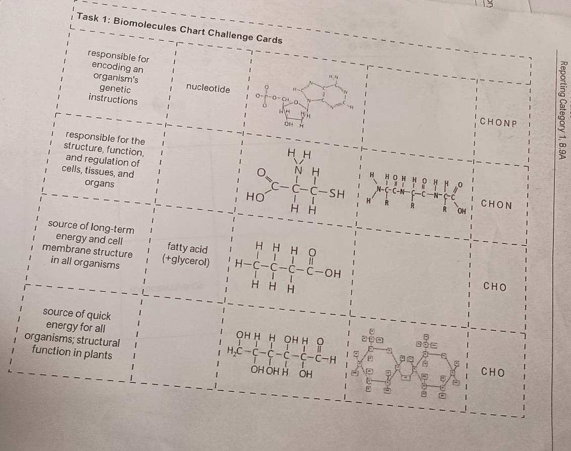 Task 1: Biom