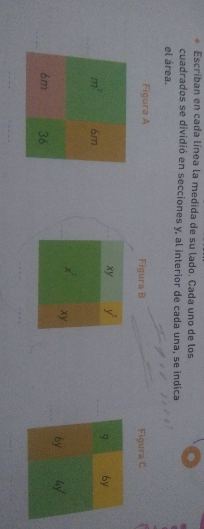 Escriban en cada línea la medida de su lado. Cada uno de los 
cuadrados se dividió en secciones y, al interior de cada una, se indica 
el área. 
Figura A 
Figura B Figura C
xy y^2
m^2
9
6y
6m
x^2
xy
6y 4y^2
6m
36