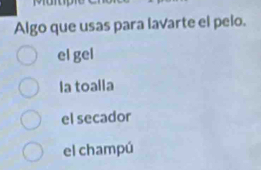 Algo que usas para lavarte el pelo.
el gel
la toalla
el secador
el champú