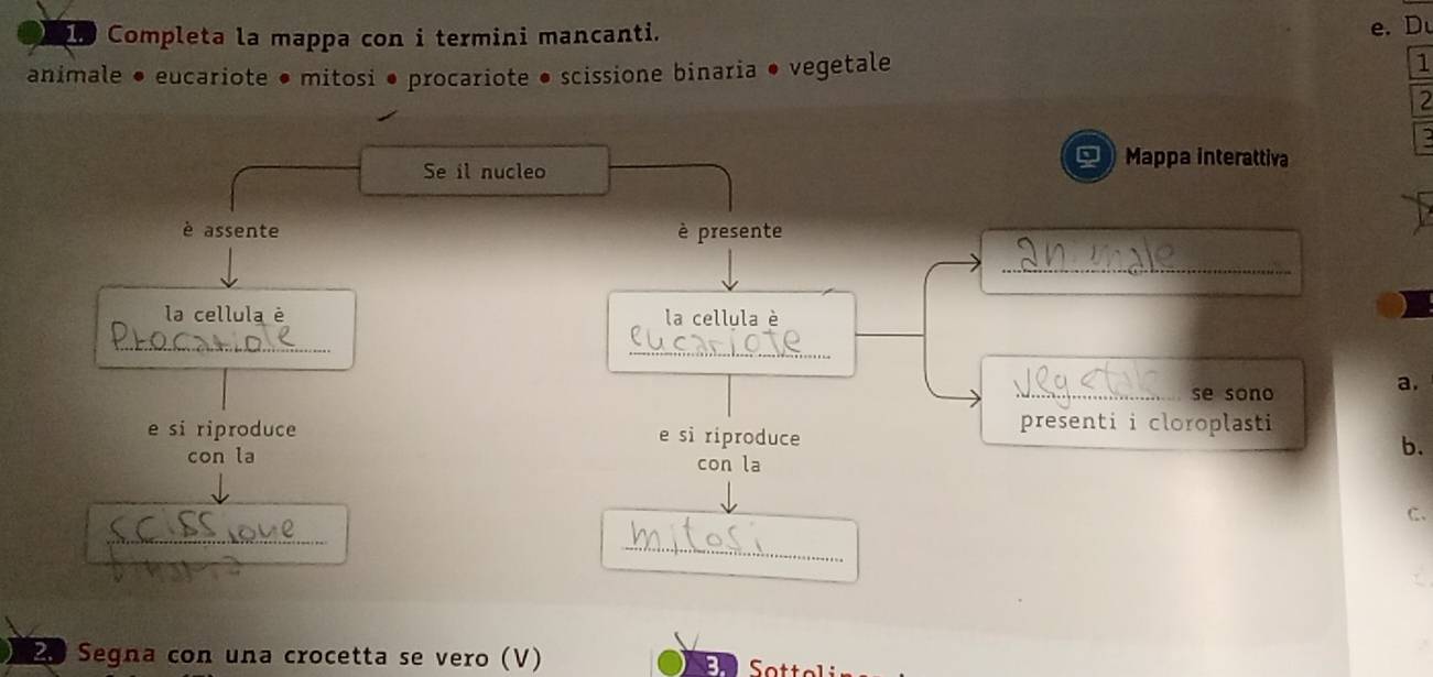 Completa la mappa con i termini mancanti. 
e. D 
animale ● eucariote ● mitosi • procariote • scissione binaria ● vegetale 1 
2 
a Mappa interattiva 
Se il nucleo 
è assente è presente 
_ 
la cellula è la cellula è 
_ 
_ 
_se sono 
a. 
e si riproduce e si riproduce presenti i cloroplasti 
con la con la 
b. 
C. 
_ 
_ 
2 Segna con una crocetta se vero (V) S o