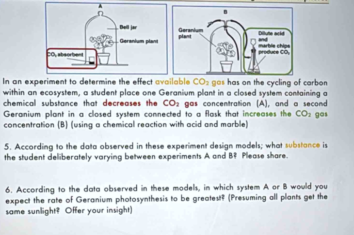 In an experiment to determine the effect available CO_2 gas has on the cycling of carbon
within an ecosystem, a student place one Geranium plant in a closed system containing a
chemical substance that decreases the CO_2 gas concentration (A), and a second
Geranium plant in a closed system connected to a flask that increases the CO_2 gas
concentration (B) (using a chemical reaction with acid and marble)
5. According to the data observed in these experiment design models; what substance is
the student deliberately varying between experiments A and B? Please share.
6. According to the data observed in these models, in which system A or B would you
expect the rate of Geranium photosynthesis to be greatest? (Presuming all plants get the
same sunlight? Offer your insight)