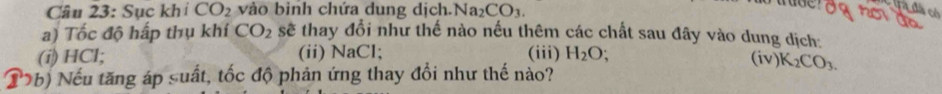 Sục khí CO_2 vào bình chứa dung dịch. Na_2CO_3. 
ra đá có 
a) Tốc độ hấp thụ khí CO_2 sẽ thay đổi như thế nào nếu thêm các chất sau đây vào dung dịch: 
(i) HCl; (ii) NaCl; (iii) H_2O; 
(iv) K_2CO_3. 
T7b) Nếu tăng áp suất, tốc độ phản ứng thay đổi như thế nào?