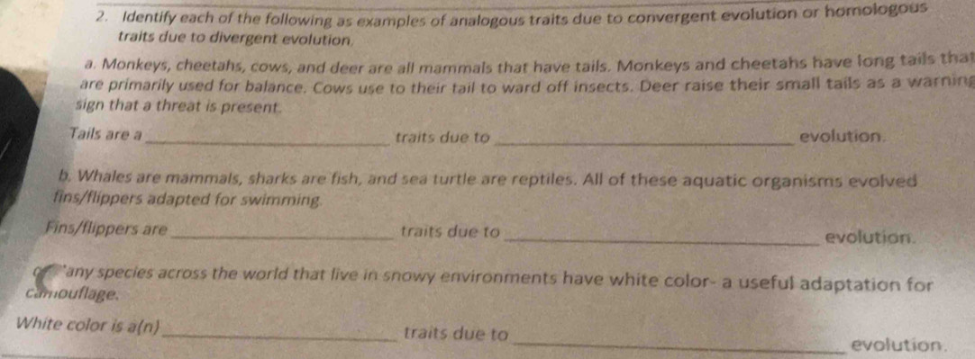 Identify each of the following as examples of analogous traits due to convergent evolution or homologous 
traits due to divergent evolution. 
a. Monkeys, cheetahs, cows, and deer are all mammals that have tails. Monkeys and cheetahs have long tails that 
are primarily used for balance. Cows use to their tail to ward off insects. Deer raise their small tails as a warning 
sign that a threat is present . 
Tails are a_ traits due to _evolution. 
b. Whales are mammals, sharks are fish, and sea turtle are reptiles. All of these aquatic organisms evolved 
fins/flippers adapted for swimming. 
Fins/flippers are _traits due to _evolution. 
or 'any species across the world that live in snowy environments have white color- a useful adaptation for 
camouflage. 
White color is a(n)_ traits due to 
_evolution.