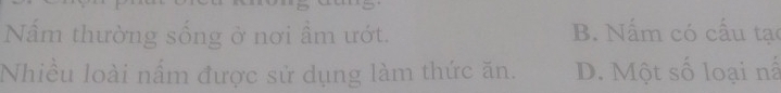 Nấm thường sống ở nơi ẩm ướt. B. Nấm có cấu tạc
Nhiều loài nấm được sử dụng làm thức ăn. D. Một số loại nấ
