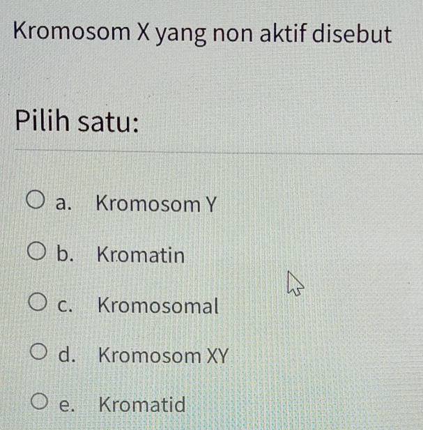 Kromosom X yang non aktif disebut
Pilih satu:
a. Kromosom Y
b. Kromatin
c. Kromosomal
d. Kromosom XY
e. Kromatid