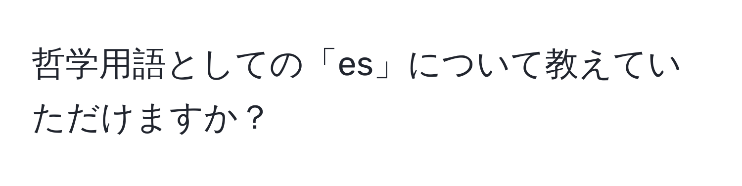 哲学用語としての「es」について教えていただけますか？