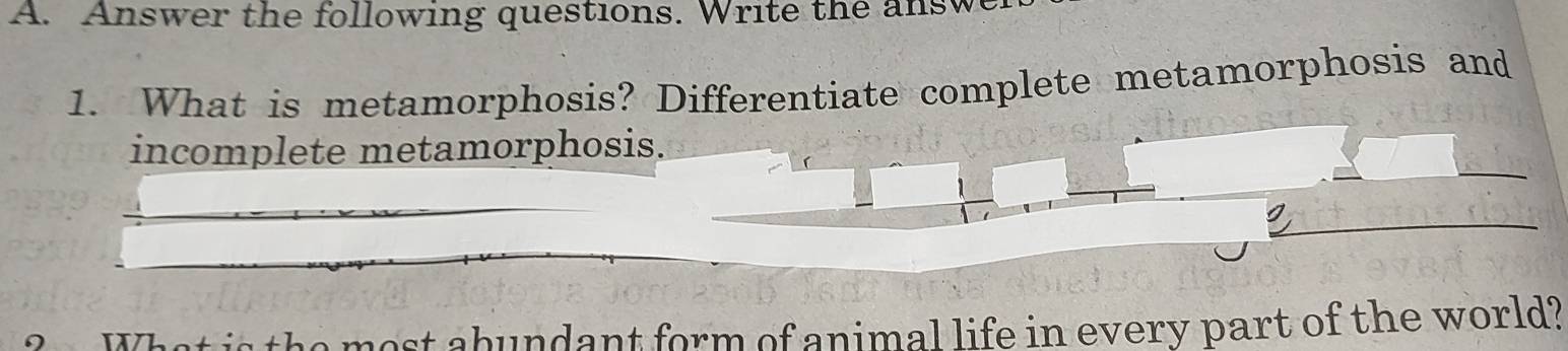 Answer the following questions. Write the answ 
1. What is metamorphosis? Differentiate complete metamorphosis and 
incomplete metamorphosis. 
a What is the most abundant form of animal life in every part of the world?