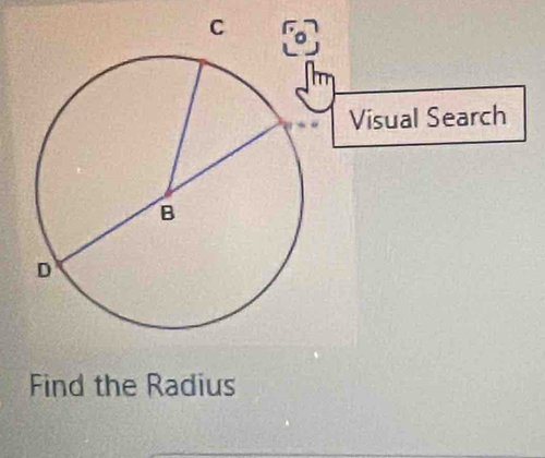 Visual Search 
Find the Radius