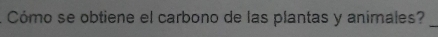 Cómo se obtiene el carbono de las plantas y animales?_