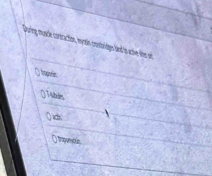 During muscle contraction, myosin crossbridges bind to active sites on
troponin
() Ttubules.
Qactin
() tropomyosin