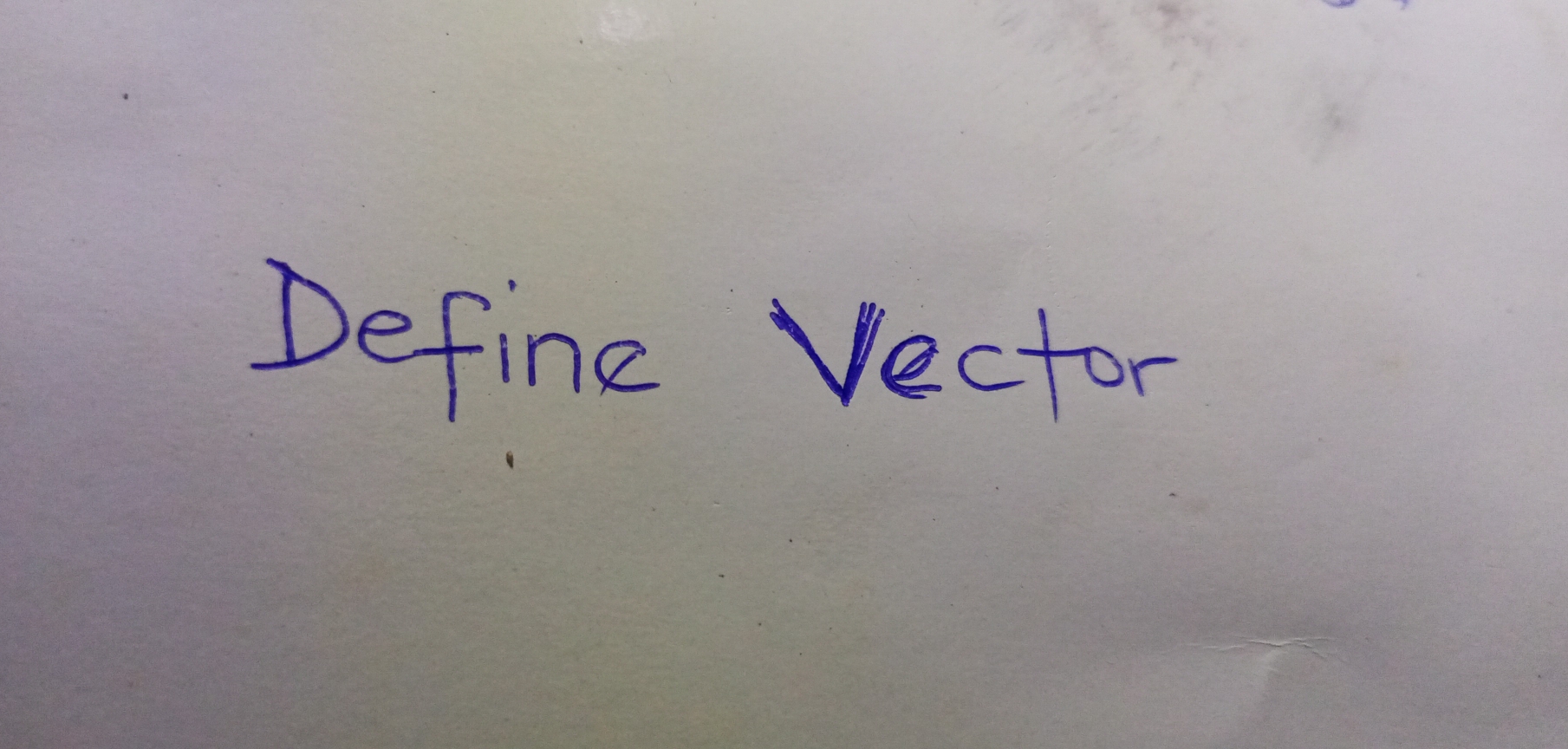 Define Vector