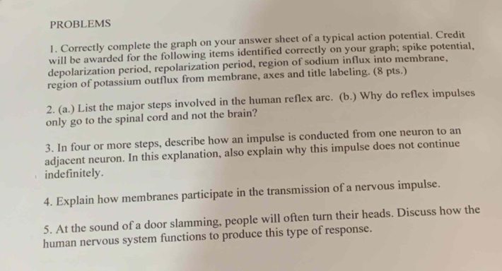 PROBLEMS 
1. Correctly complete the graph on your answer sheet of a typical action potential. Credit 
will be awarded for the following items identified correctly on your graph; spike potential, 
depolarization period, repolarization period, region of sodium influx into membrane, 
region of potassium outflux from membrane, axes and title labeling. (8 pts.) 
2. (a.) List the major steps involved in the human reflex arc. (b.) Why do reflex impulses 
only go to the spinal cord and not the brain? 
3. In four or more steps, describe how an impulse is conducted from one neuron to an 
adjacent neuron. In this explanation, also explain why this impulse does not continue 
indefinitely. 
4. Explain how membranes participate in the transmission of a nervous impulse. 
5. At the sound of a door slamming, people will often turn their heads. Discuss how the 
human nervous system functions to produce this type of response.