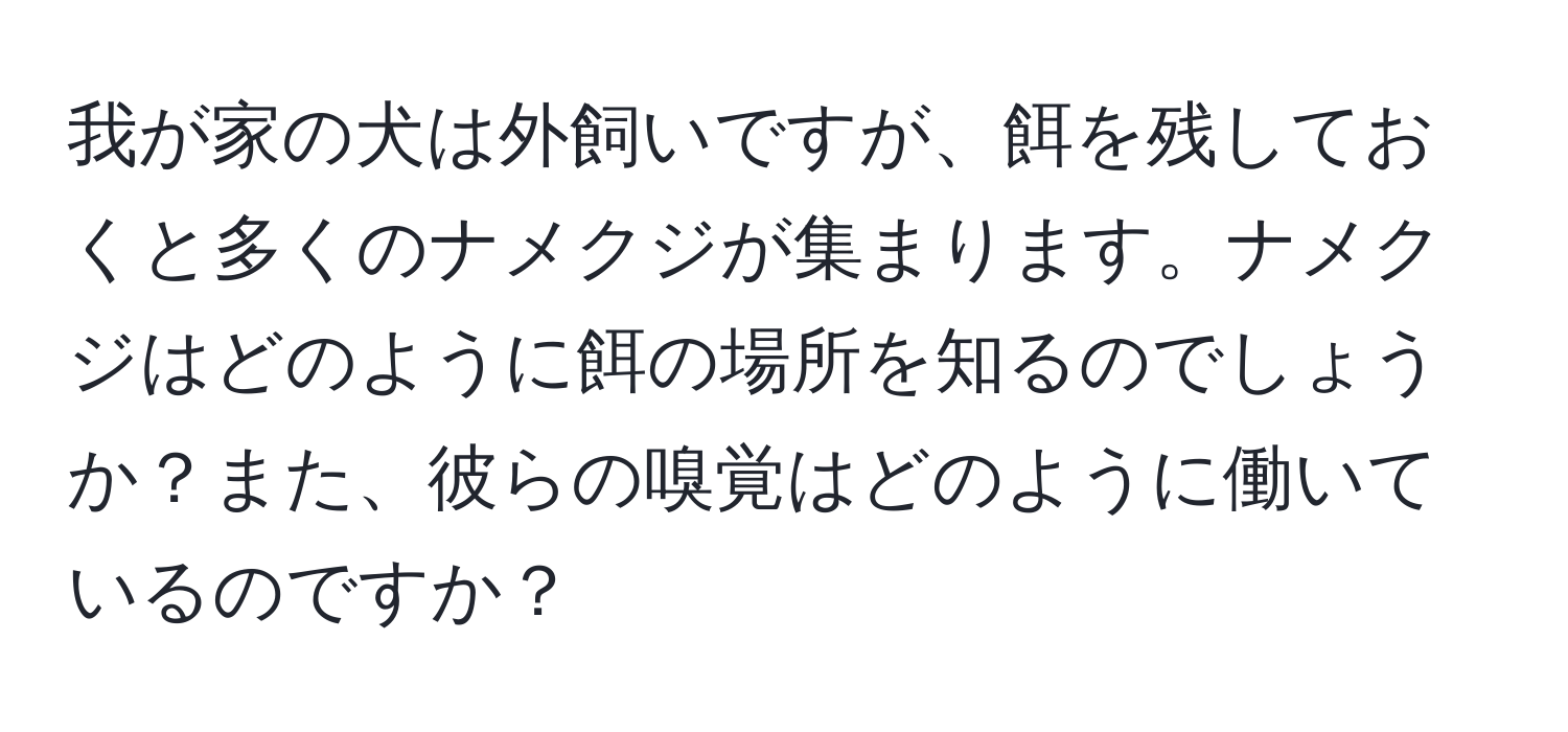 我が家の犬は外飼いですが、餌を残しておくと多くのナメクジが集まります。ナメクジはどのように餌の場所を知るのでしょうか？また、彼らの嗅覚はどのように働いているのですか？