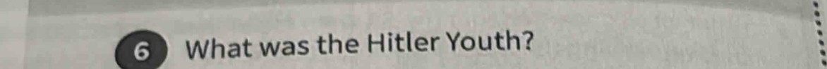 What was the Hitler Youth?