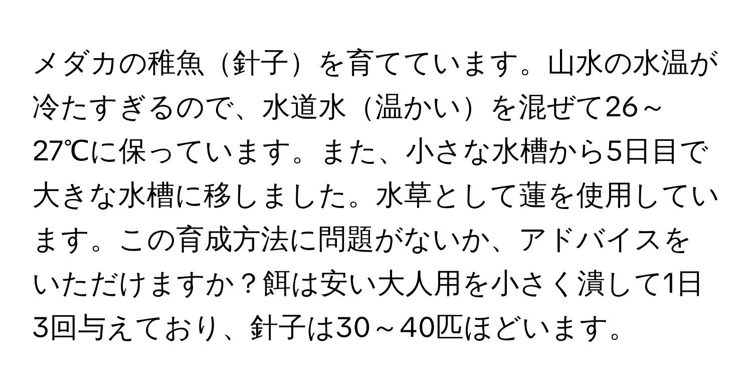 メダカの稚魚針子を育てています。山水の水温が冷たすぎるので、水道水温かいを混ぜて26～27℃に保っています。また、小さな水槽から5日目で大きな水槽に移しました。水草として蓮を使用しています。この育成方法に問題がないか、アドバイスをいただけますか？餌は安い大人用を小さく潰して1日3回与えており、針子は30～40匹ほどいます。