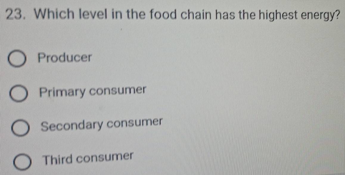 Which level in the food chain has the highest energy?
Producer
Primary consumer
Secondary consumer
Third consumer