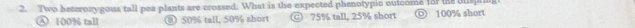 Two heterozygous tall pea plants are crossed. What is the expected phenotypic outcome for the ouspr
A 100% tall ⑧ 50% tall, 50% short C 75% tall, 25% short 100% short