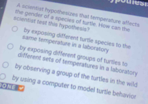 A scientist hypothesizes that temperature affects
the gender of a species of turtle. How can the
scientist test this hypothesis?
by exposing different turtle species to the
same temperature in a laboratory
by exposing different groups of turtles to
different sets of temperatures in a laboratory
by observing a group of the turtles in the wild
one ý
by using a computer to model turtle behavior