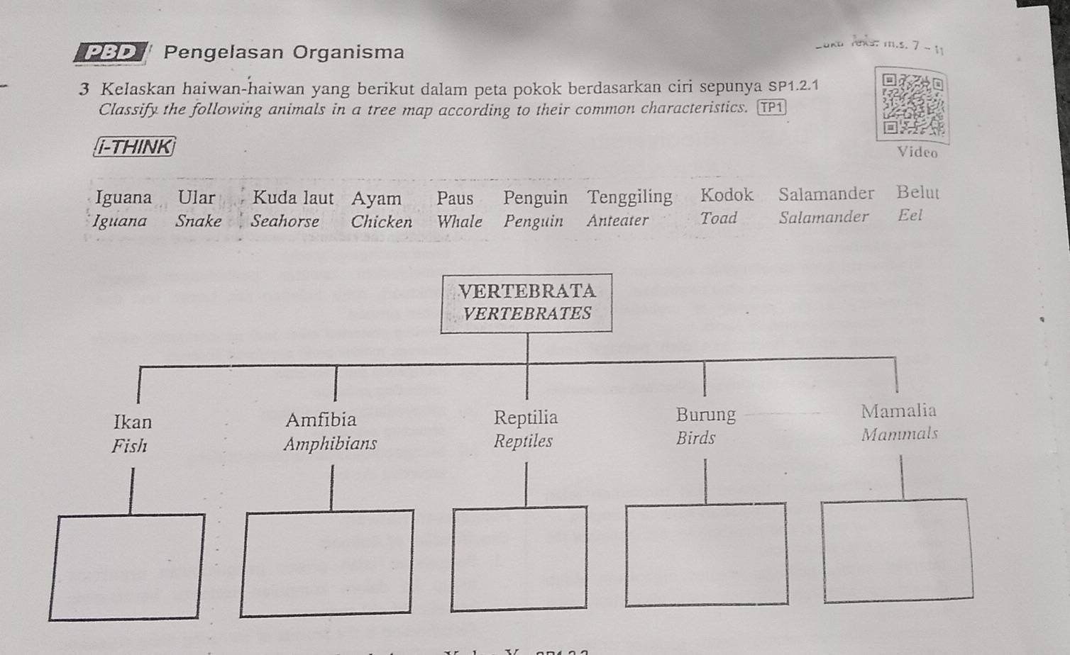 PBD ' Pengelasan Organisma 
Loka Yeks: m.s. 7 - 11 
3 Kelaskan haiwan-haiwan yang berikut dalam peta pokok berdasarkan ciri sepunya SP1.2.1 
Classify the following animals in a tree map according to their common characteristics. TP1 
i-THINK 
Video 
Iguana Ular Kuda laut Ayam Paus Penguin Tenggiling Kodok Salamander Belut 
Iguana Snake Seahorse Chicken Whale Penguin Anteater Toad Salamander Eel