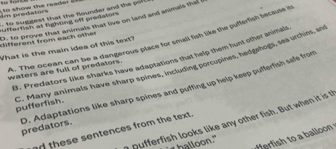 to force
m predators to show the reader e 
. to suggest that the flounder and the pof 
D. to prove that animals that live on land and animals that 
ufferfish at fighting off predators
A. The ocean can be a dangerous place for small fish like the pufferfish because in
different from each other
What is the main idea of this text?
B. Predators like sharks have adaptations that help them hunt other animals
waters are full of predators.
C. Many animals have sharp spines, including porcupines, hedgehogs, sea urchins, an pufferfish.
D. Adaptations like sharp spines and puffing up help keep pufferfish safe from predators.
o pufferfish looks like any other fish. But when it is t
nd these sentences from the text.
" halloon."
s to a b allo