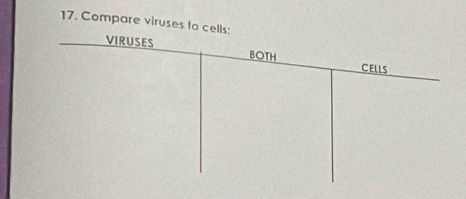 Compare viruses to c