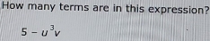 How many terms are in this expression?
5-u^3v