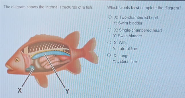 Solved: The diagram shows the internal structures of a fish Which ...