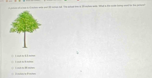 A picture of a tree is 4 inches wide and 32 inches tall. The actual tree is 18 inches wide. What is the scale being used for the picture?
1 inch to 4.5 inches
1 inch to 8 inches
1 inch to 36 inches
2 inches to 9 inches