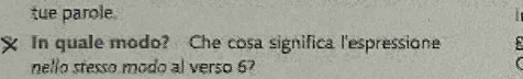 tue parole 
In quale modo? Che cosa significa l'espressione 
nello stesso modo al verso 6?