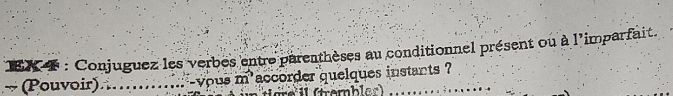 EX : Conjuguez les verbes entre parenthèses au conditionnel présent ou à l'imparfait. 
~ (Pouvoir)......vous m'accorder quelques instants ? 
üre il (tremblen) 
−