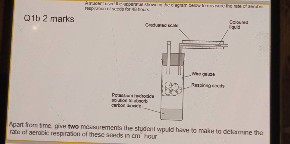 A student used the apparatus shown in the diagram below to measure the rate of aerobic 
respiration of seeds for 48 hours. 
Q1b 2 marks 
Apart from time, give two measurements the stydent would have to make to determine the 
rate of aerobic respiration of these seeds in cm hour