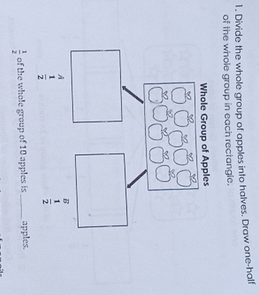 Divide the whole group of apples into halves. Draw one-half
of the whole group in each rectangle.
 1/2  of the whole group of 10 apples is _apples.