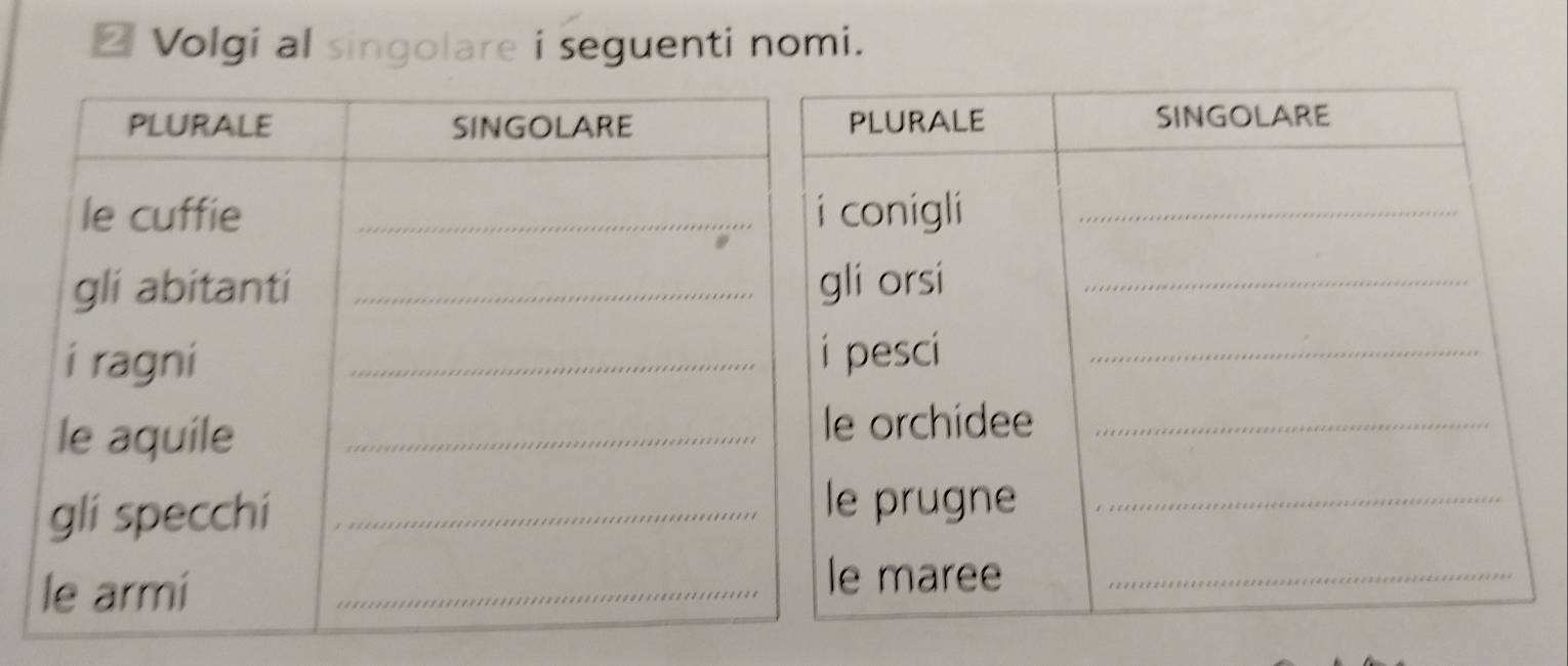 Volgi al singolare i seguenti nomi.