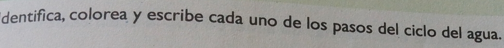 dentifica, colorea y escribe cada uno de los pasos del ciclo del agua.