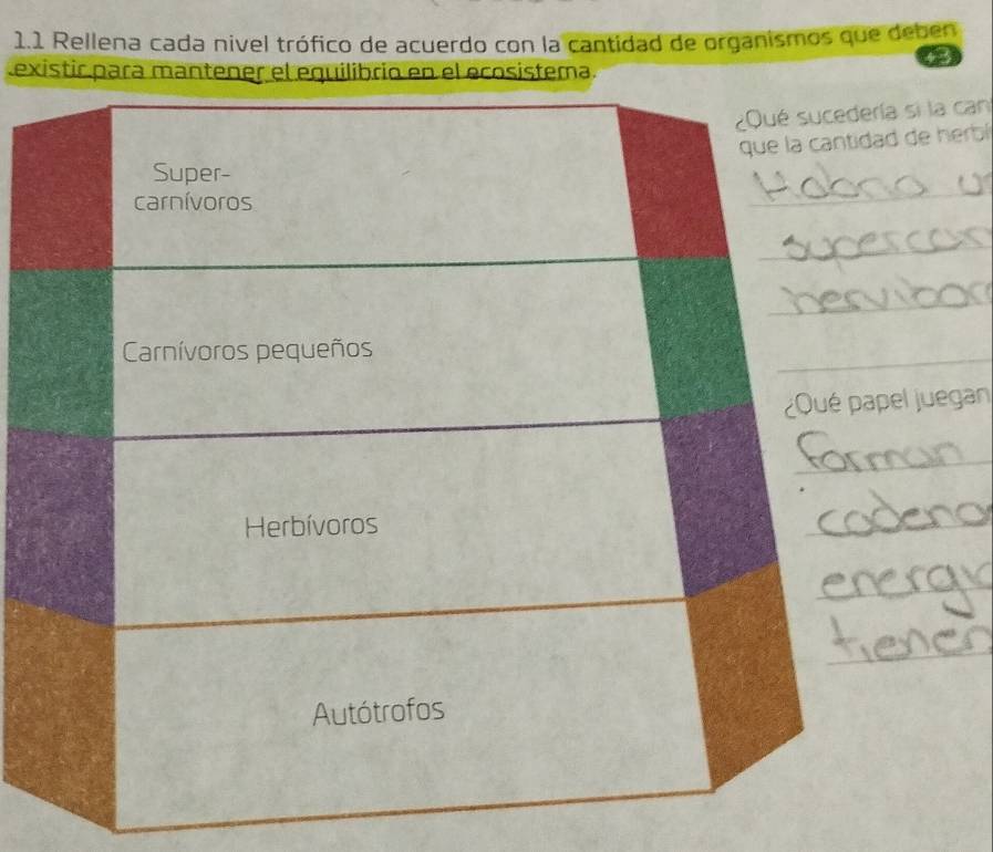 1.1 Rellena cada nivel trófico de acuerdo con la cantidad de organismos que deben 
existir para mantener el equilibrio en el ecosístema. 
si la can 
de herbl 
l juegan 
_ 
_