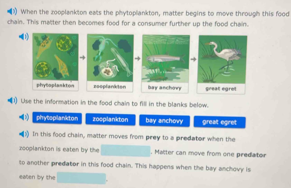 When the zooplankton eats the phytoplankton, matter begins to move through this food
chain. This matter then becomes food for a consumer further up the food chain.
D)
zooplankton bay anchovy great egret
Use the information in the food chain to fill in the blanks below.
phytoplankton zooplankton bay anchovy great egret
In this food chain, matter moves from prey to a predator when the
zooplankton is eaten by the . Matter can move from one predator
to another predator in this food chain. This happens when the bay anchovy is
eaten by the