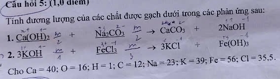 Cầu hỏi 5: (1,0 điểm) 
Tính đượng lượng của các chất được gạch dưới trong các phản ứng sau: 
1. _ Ca(OH)_2 + _ Na_2CO_3 CaCO_3+2NaOH
2. 3KOH FeCl₃ 3KCl + Fe(OH)_3
Cho Ca=40; O=16; H=1; C=12; Na=23; K=39; Fe=56; C1=35,5.