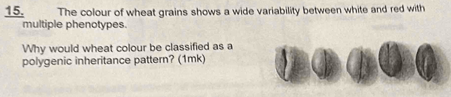The colour of wheat grains shows a wide variability between white and red with 
multiple phenotypes. 
Why would wheat colour be classified as a 
polygenic inheritance pattern? (1mk)