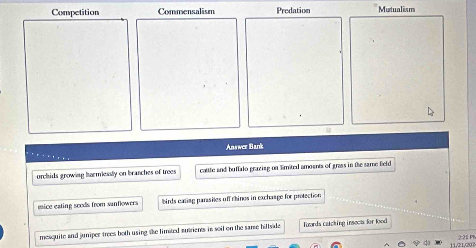 Competition Commensalism Predation Mutualism
Answer Bank
orchids growing harmlessly on branches of trees cattle and buffalo grazing on limited amounts of grass in the same field
mice eating seeds from sunflowers birds eating parasites off rhinos in exchange for protection
mesquite and juniper trees both using the limited nutrients in soil on the same hillside lizards catching insects for food
2:21 PN
11/21/202