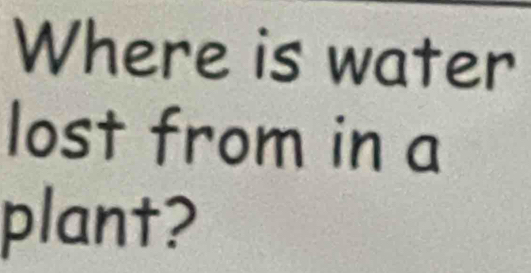 Where is water 
lost from in a 
plant?