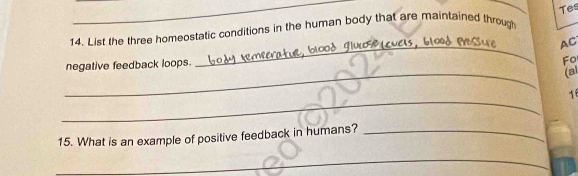 Tes 
14. List the three homeostatic conditions in the human body that are maintained through 
_ 
AC 
negative feedback loops. 
Fo 
_ 
(al 
_ 
1 
15. What is an example of positive feedback in humans?_ 
_