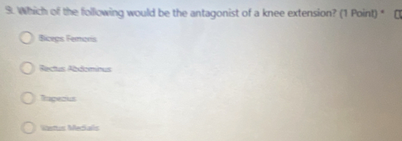 Which of the following would be the antagonist of a knee extension? (1 Point) *
Bicegs Femoris
Rectus Abdominus
Tngeoius
Westus Mediails