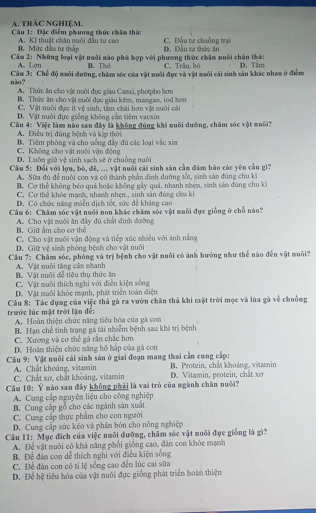 A. tRÁC NGHIỆM.
Câu 1: Đặc điểm phương thức chăn thả:
A. Kĩ thuật chăn nuôi đầu tư cao C. Đầu tư chuồng trại
B. Mức đầu tư thấp D. Đầu tư thức ăn
Câu 2: Những loại vật nuôi nào phù hợp với phương thức chăn nuôi chăn thả:
A. Lợn B. Thỏ C. Trâu, bò D. Tằm
Câu 3: Chế độ nuôi dưỡng, chăm sóc của vật nuôi đực và vật nuôi cái sinh sản khác nhau ở điểm
nào?
A. Thức ăn cho vật nuôi đực giàu Canxi, photpho hơn
B. Thức ăn cho vật nuôi đực giàu kẽm, mangan, iod hơn
C. Vật nuôi đực ít vệ sinh, tắm chải hơn vật nuôi cái
D. Vật nuôi đực giống không cần tiêm vacxin
Câu 4: Việc làm nào sau đây là không đúng khi nuôi dưỡng, chăm sóc vật nuôi?
A. Điều trị đúng bệnh và kịp thời
B. Tiêm phòng và cho uống đầy đủ các loại vắc xin
C. Không cho vật nuôi vận động
D. Luôn giữ vệ sinh sạch sẽ ở chuồng nuôi
Câu 5: Đối với lợn, bò, dê, ... vật nuổi cái sinh sản cần đảm bảo các yêu cầu gì?
A. Sữa đủ để nuôi con và có thành phần dinh dưỡng tốt, sinh sản đúng chu kì
B. Cơ thể không béo quá hoặc không gầy quá, nhanh nhẹn, sinh sản đúng chu kì
C. Cơ thể khỏe mạnh, nhanh nhẹn., sinh sản đúng chu kì
D. Có chức năng miễn dịch tốt, sức đề kháng cao
Câu 6: Chăm sóc vật nuôi non khác chăm sóc vật nuôi đực giống ở chỗ nào?
A. Cho vật nuôi ăn đầy đủ chất dịnh dưỡng
B. Giữ ấm cho cơ thể
C. Cho vật nuôi vận động và tiếp xúc nhiều với ánh nắng
D. Giữ vệ sinh phòng bệnh cho vật nuôi
Câu 7: Chăm sóc, phòng và trị bệnh cho vật nuôi có ảnh hưởng như thế nào đến vật nuôi?
A. Vật nuôi tăng cân nhanh
B. Vật nuôi dễ tiêu thụ thức ăn
C. Vật nuôi thích nghi với điều kiện sống
D. Vật nuôi khỏe mạnh, phát triển toàn diện
Câu 8: Tác dụng của việc thả gà ra vườn chăn thả khi mặt trời mọc và lùa gà về chuồng
trước lúc mặt trời lặn đề:
A. Hoàn thiện chức năng tiêu hóa của gà con
B. Hạn chế tình trạng gà tái nhiễm bệnh sau khi trị bệnh
C. Xương và cơ thể gà rắn chắc hơn
D. Hoàn thiện chức năng hô hấp của gà con
Câu 9: Vật nuôi cái sinh sản ở giai đoạn mang thai cần cung cấp:
A. Chất khoáng, vitamin B. Protein, chất khoáng, vitamin
C. Chất xơ, chất khoáng, vitamin D. Vitamin, protein, chất xơ
Câu 10: Ý nào sau đây không phải là vai trò của ngành chăn nuôi?
A. Cung cấp nguyên liệu cho công nghiệp
B. Cung cấp gỗ cho các ngành sản xuất
C. Cung cấp thực phẩm cho con người
D. Cung cấp sức kéo và phân bón cho nông nghiệp
Câu 11: Mục đích của việc nuôi dưỡng, chăm sóc vật nuôi đực giống là gì?
A. Để vật nuôi có khả năng phối giống cao, đàn con khỏe mạnh
B. Để đàn con dễ thích nghi với điều kiện sống
C. Để đàn con có tỉ lệ sống cao đến lúc cai sữa
D. Để hệ tiêu hóa của vật nuôi đực giống phát triển hoàn thiện