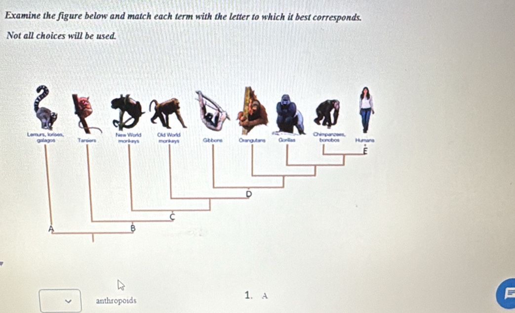 Solved: Examine the figure below and match each term with the letter to ...