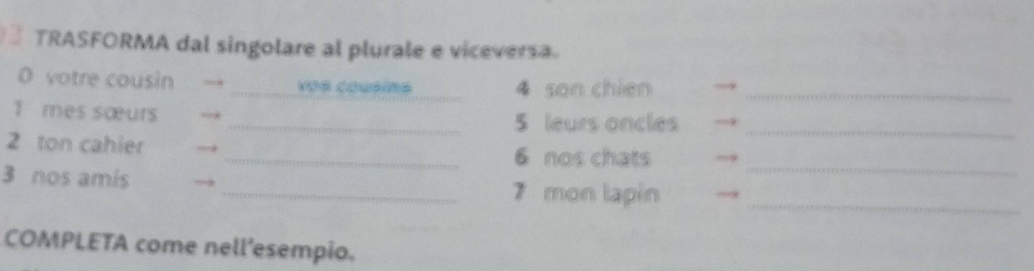 TRASFORMA dal singolare al plurale e viceversa. 
O votre cousin 
_VOR Cousins 4 son chien_ 
1 mes sœurs 
_5 leurs oncles_ 
2 ton cahier 
_6 nos chats_ 
3 nos amis 
_7 mon lapin_ 
COMPLETA come nell'esempio.